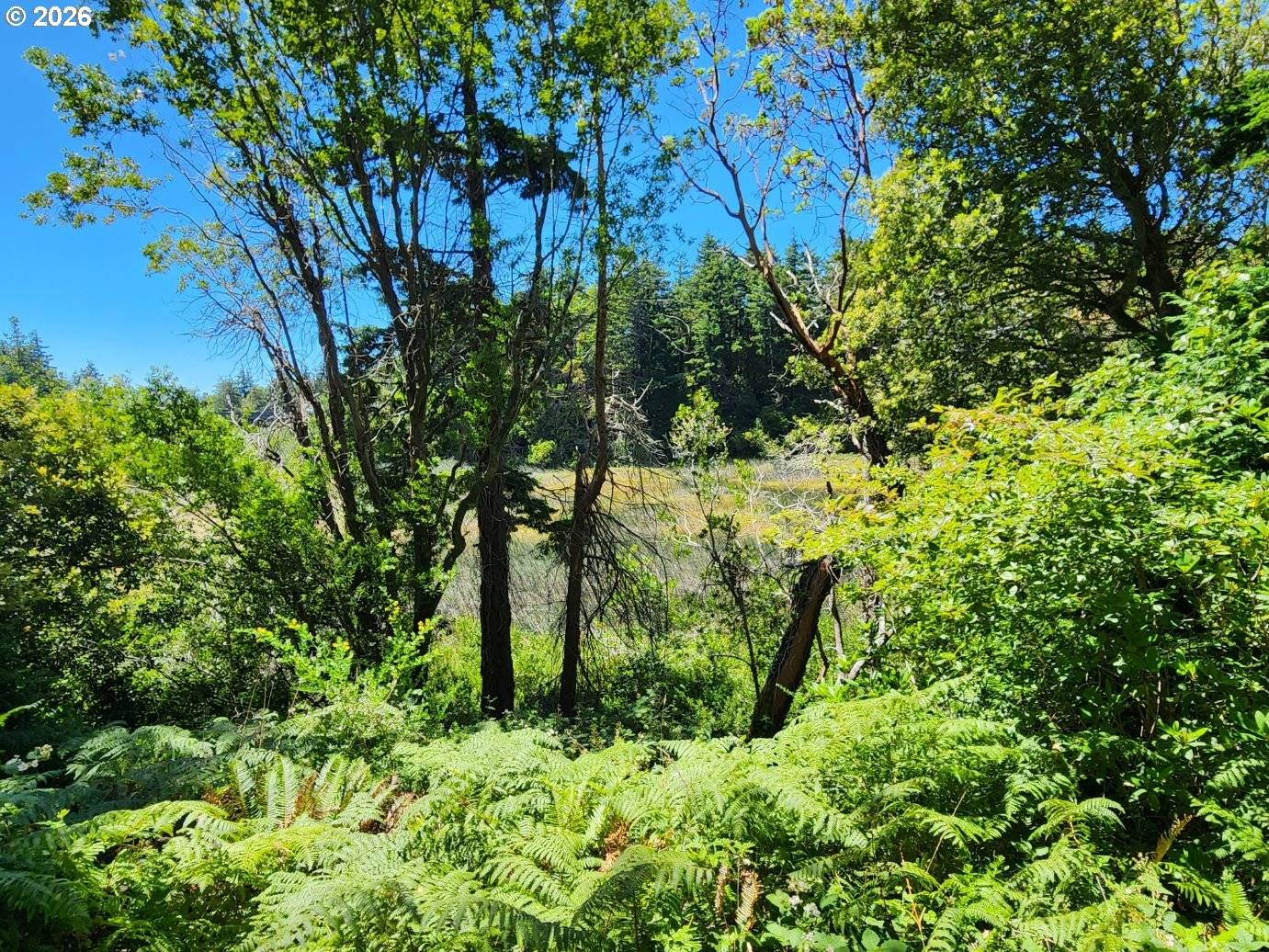 2537 PORT ORFORD LOOP, Port Orford, OR 97465