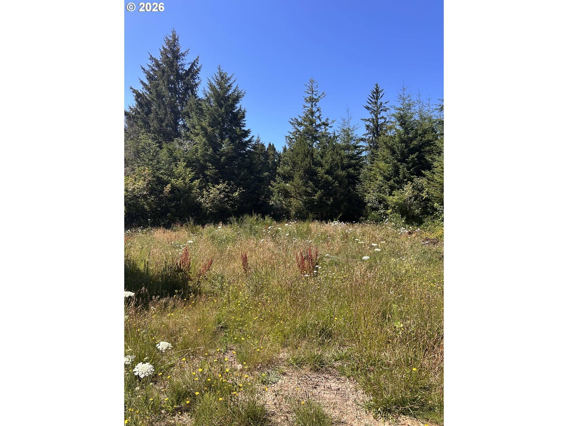 0 HWY 101, Sixes, OR 97476
