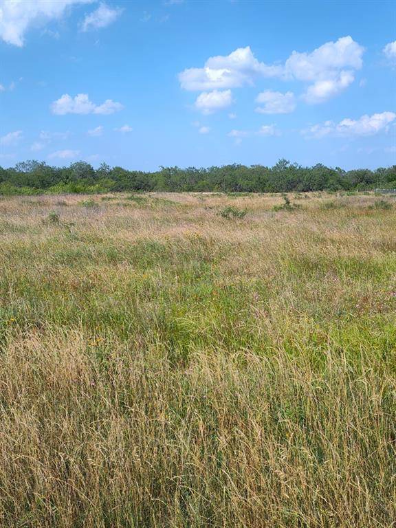 49 BOREN PRIVATE RD, Wortham, TX 76693