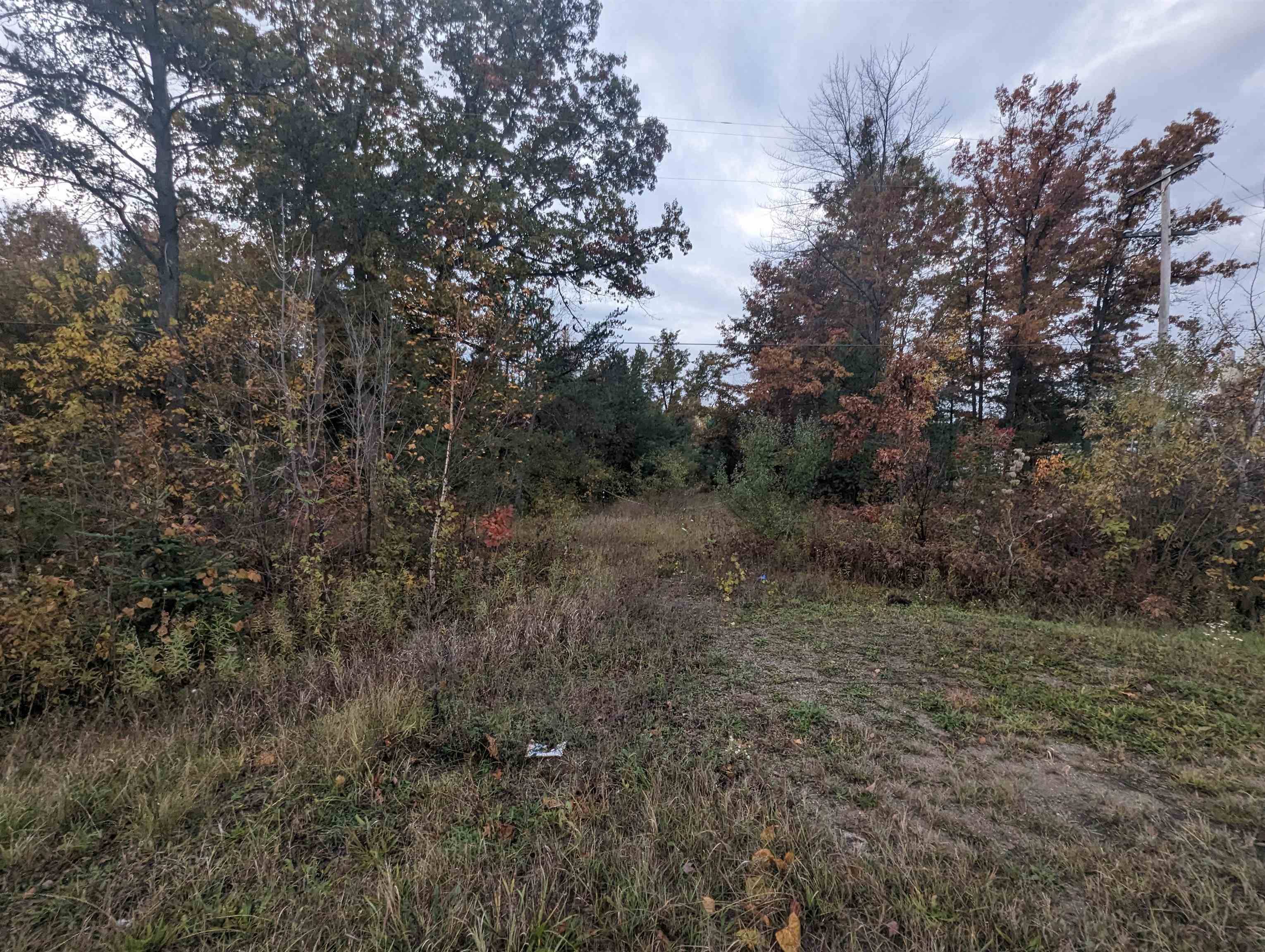 N/A E Huron, Au Gres Twp, MI 48749