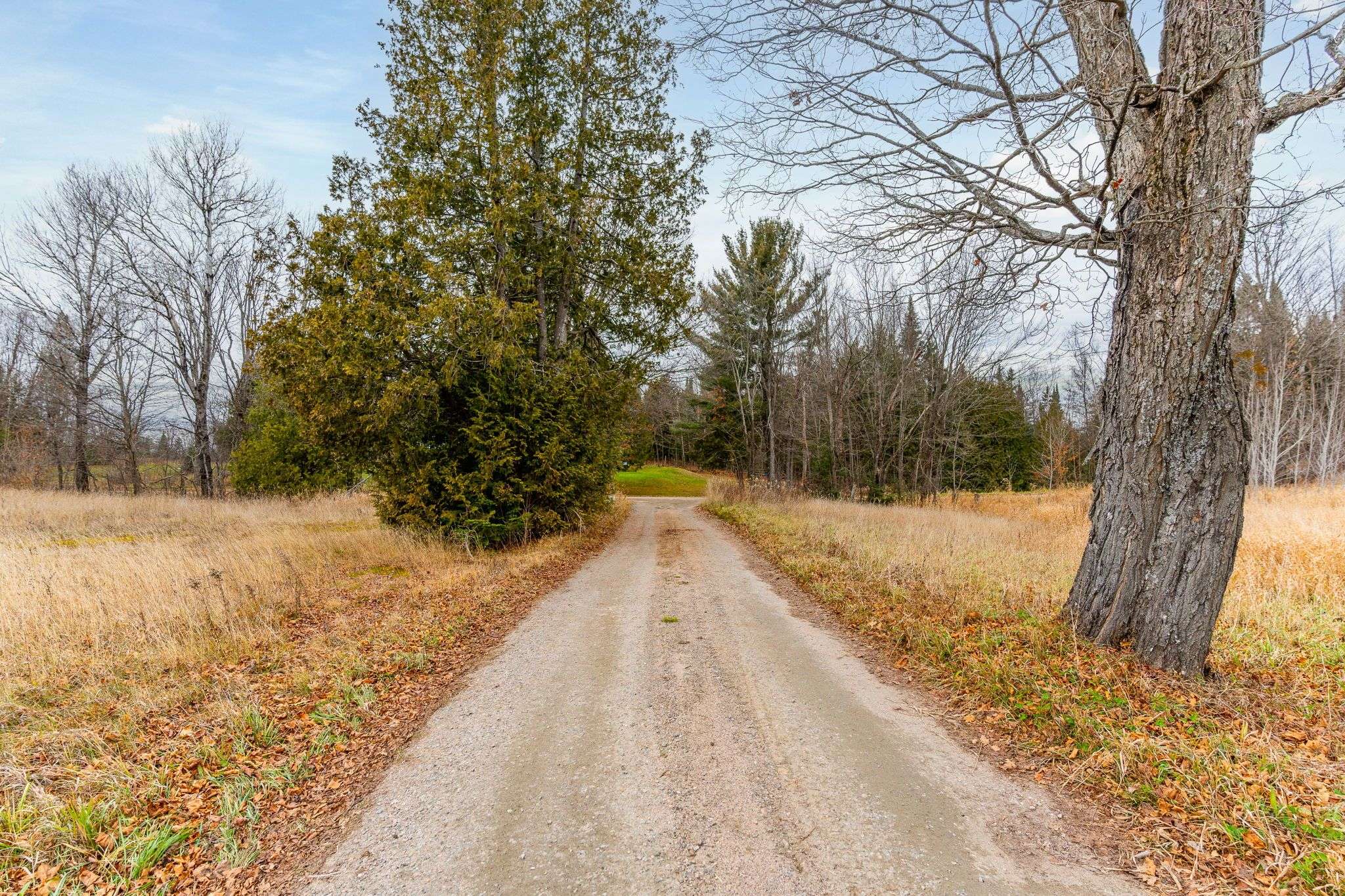 1047 MCCREA RD, Highlands East, ON K0L 2Y0