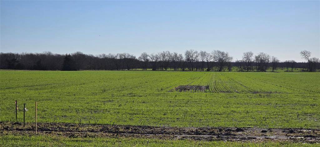 197 Acres FM RD 548, Forney, TX 75126