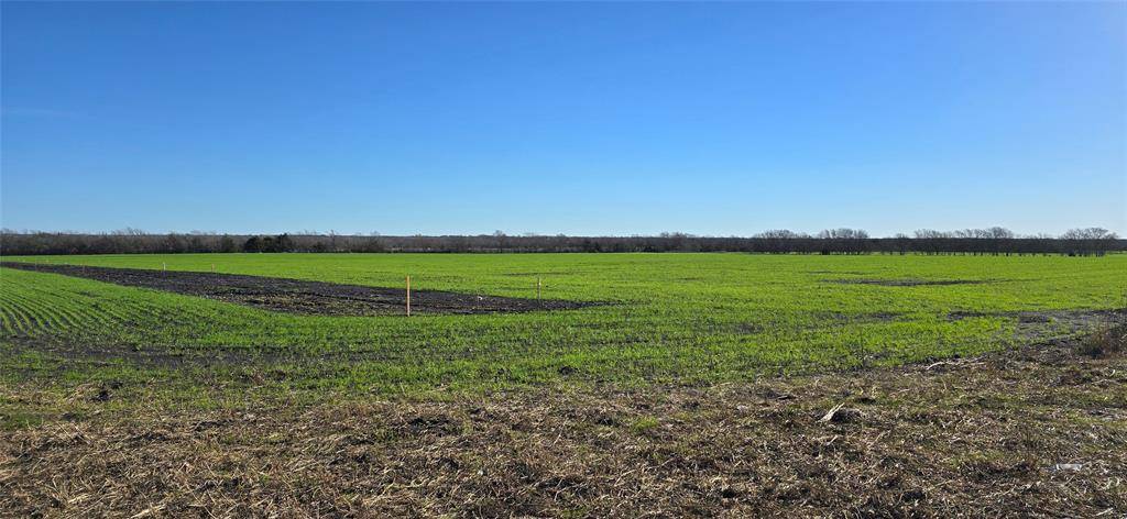 197 Acres FM RD 548, Forney, TX 75126