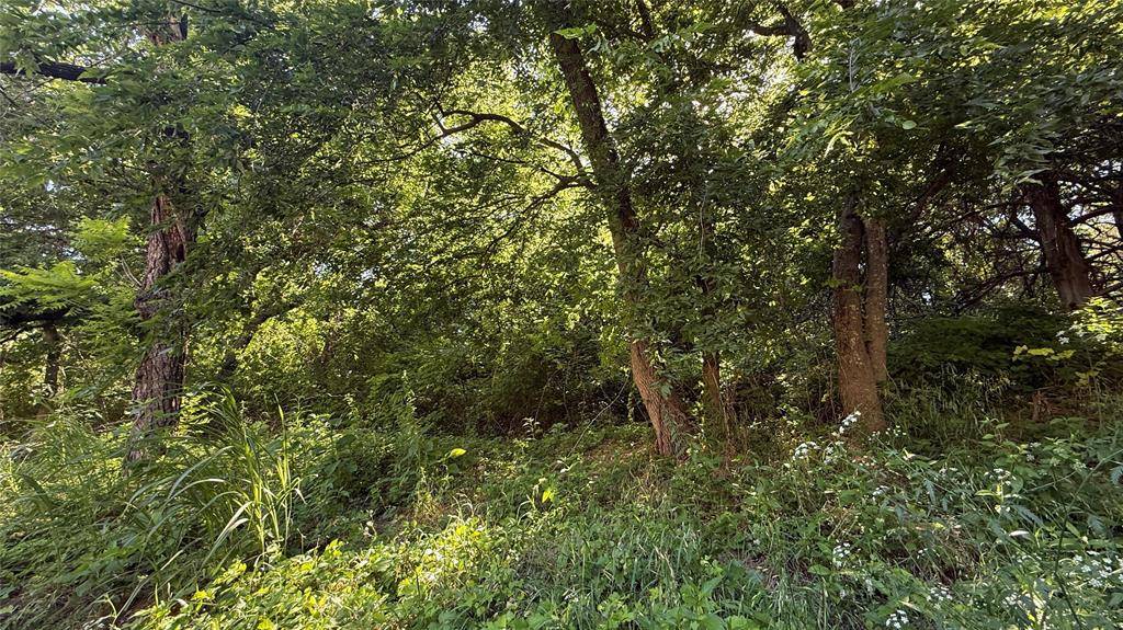 906 Sleepy Hollow Drive, Cedar Hill, TX 75104