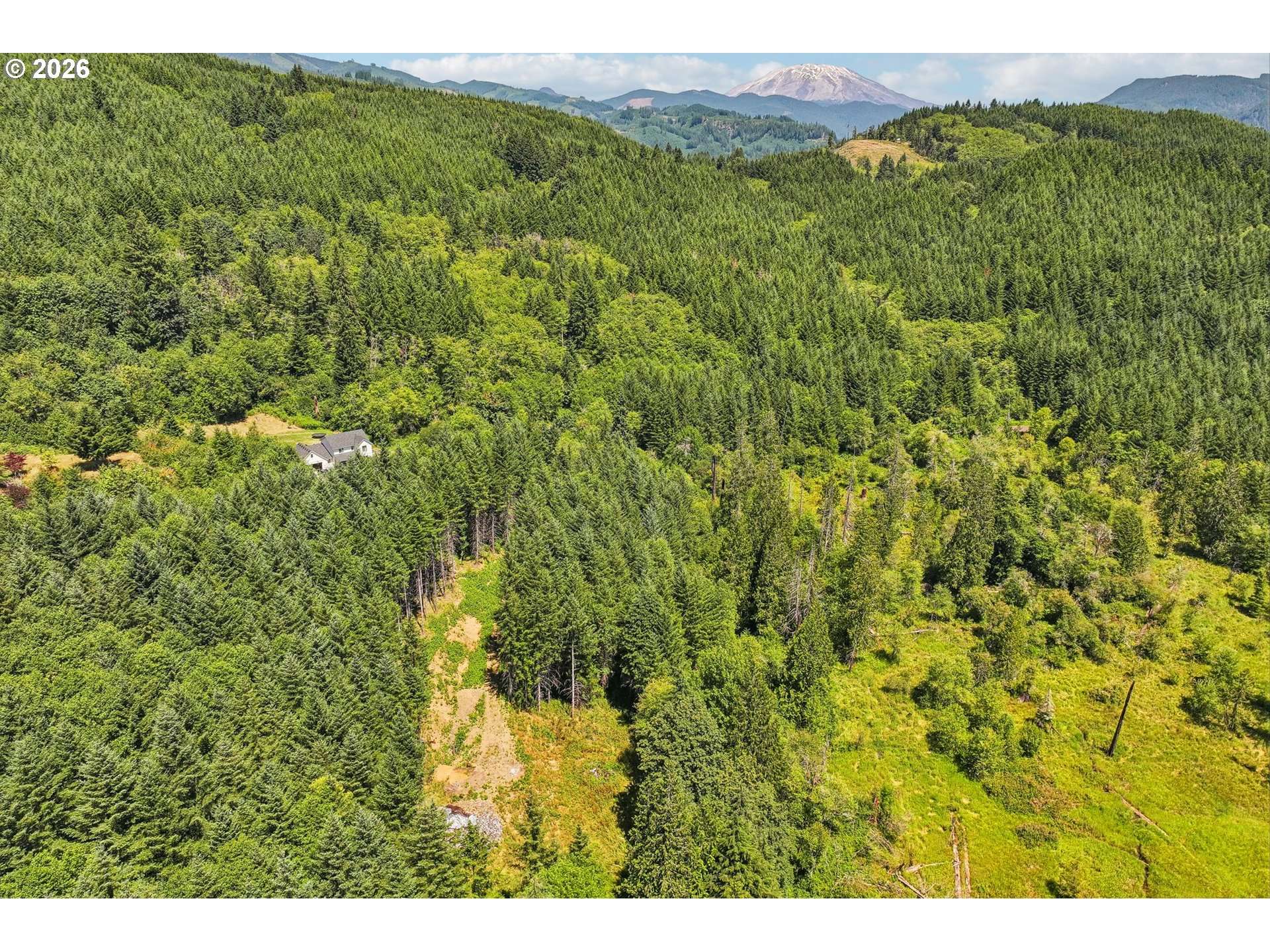 172 MOHAWK LN, Amboy, WA 98601
