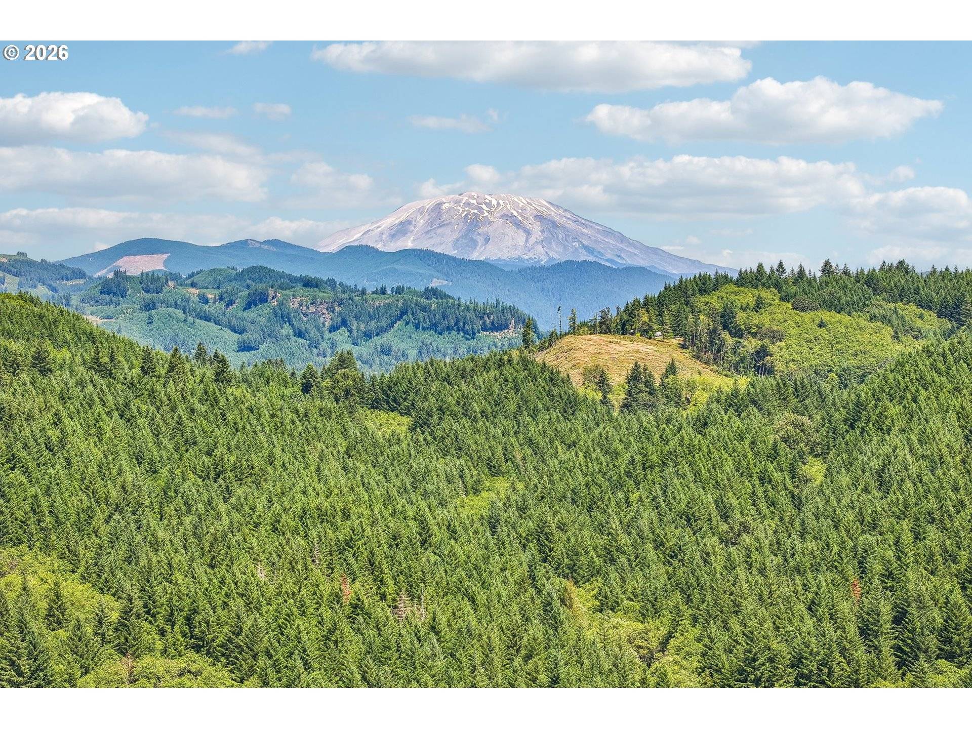 172 MOHAWK LN, Amboy, WA 98601