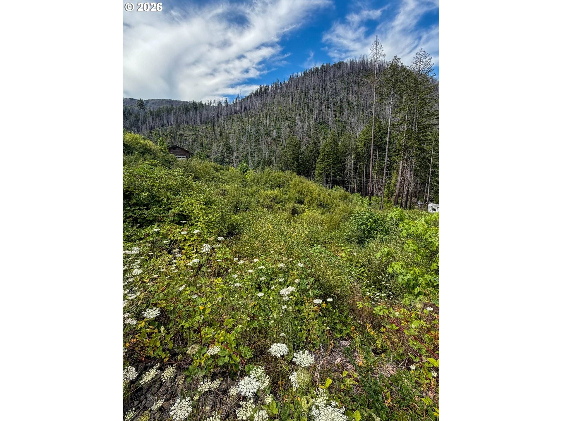 0 EVERGREEN LN, Idleyld Park, OR 97447