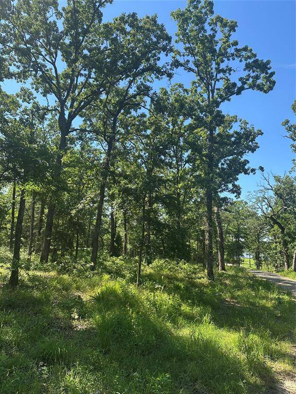 14192 Ridge Lane, Malakoff, TX 75148