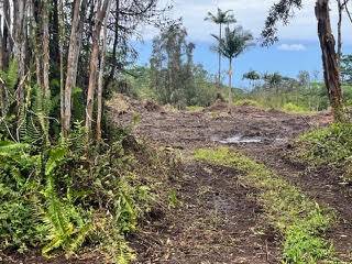 16-1235 39TH AVE, Kurtistown, HI 96760