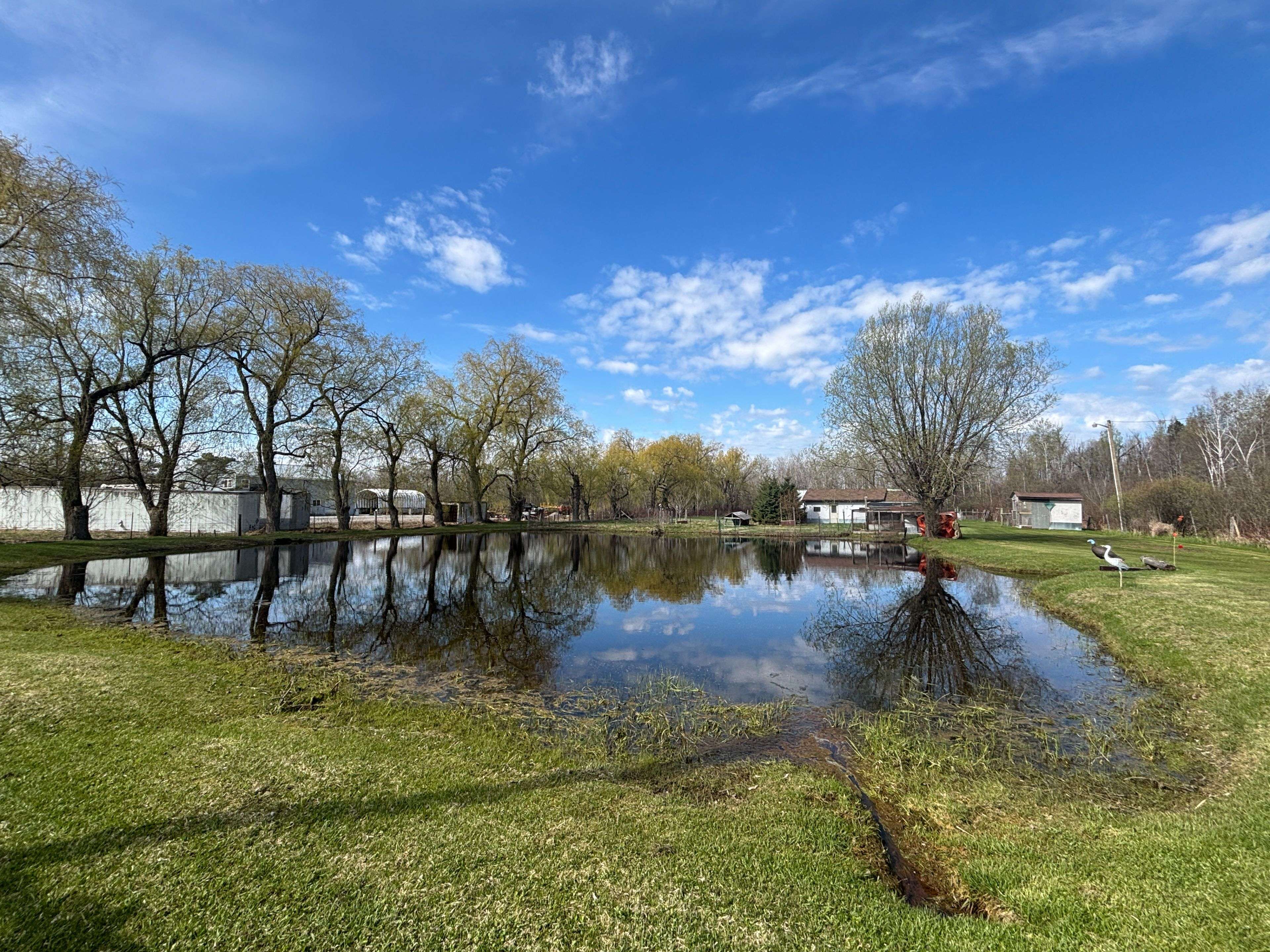 23276 Highway 48 RD, Georgina, ON L0E 1L0