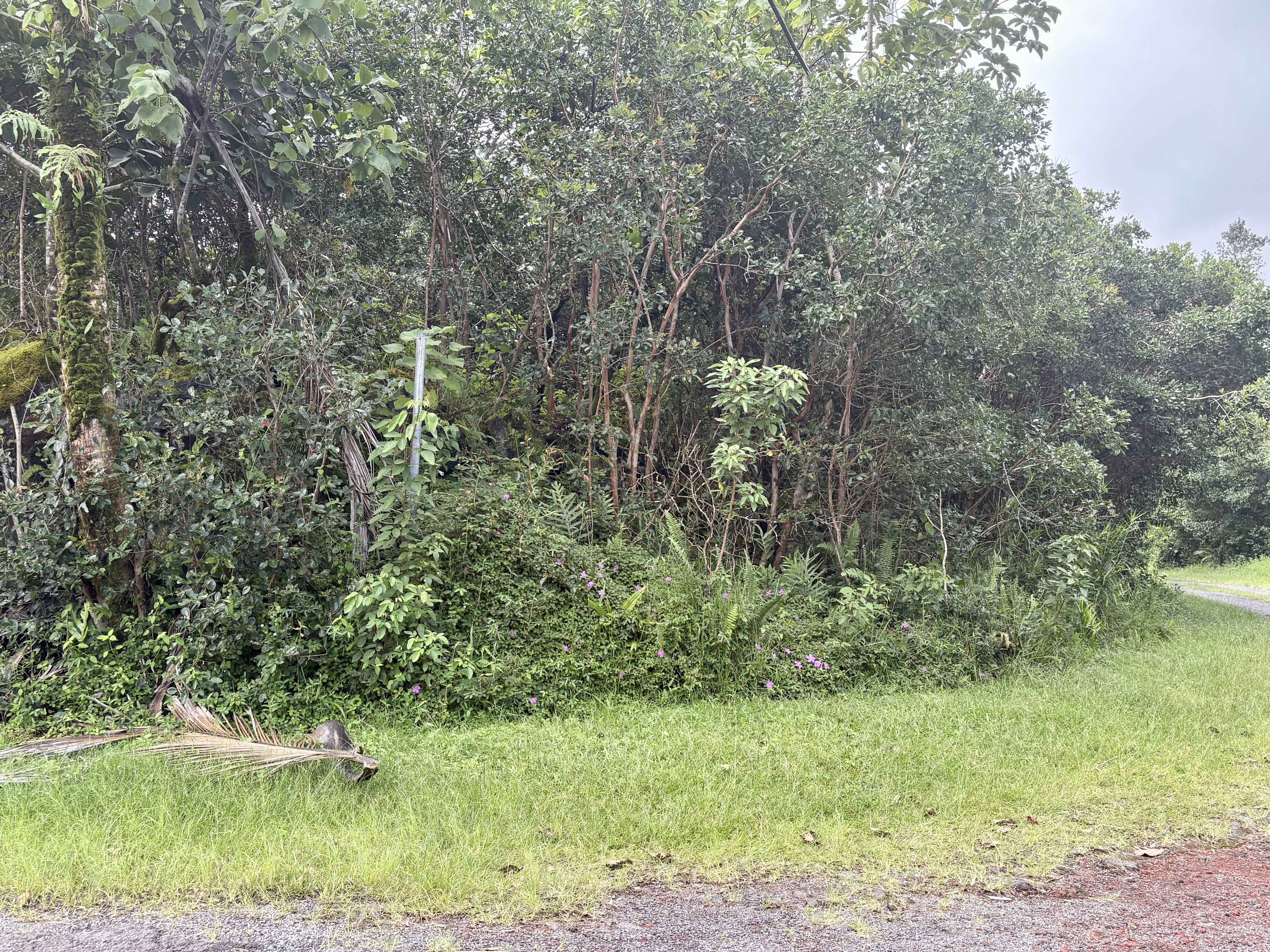 12-494 ALOHA RD, Pahoa, HI 96778