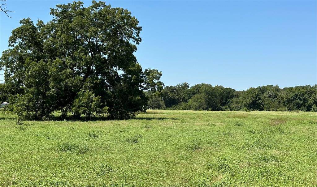 8401 County Rd 305, Grandview, TX 76050
