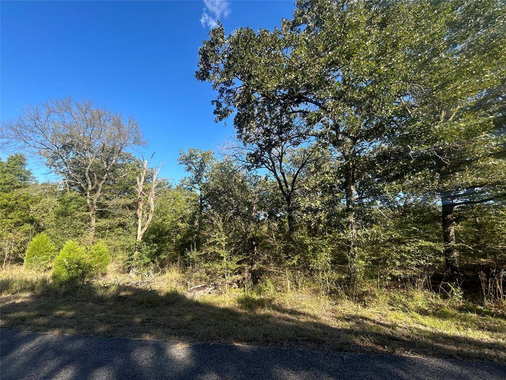 57 Point Lavista, Malakoff, TX 75148
