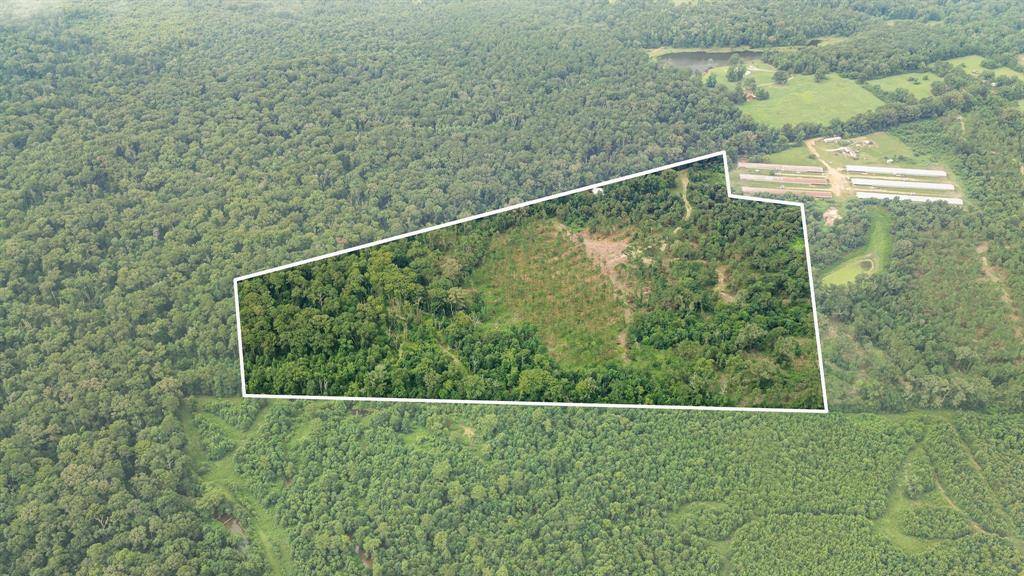 1609 County Road 3224, Center, TX 75935