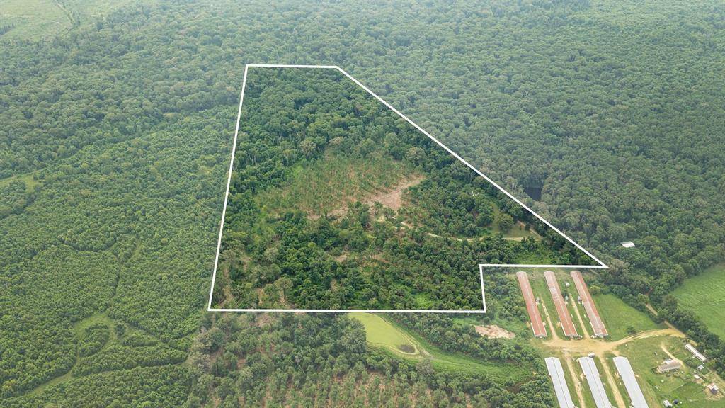 1609 County Road 3224, Center, TX 75935
