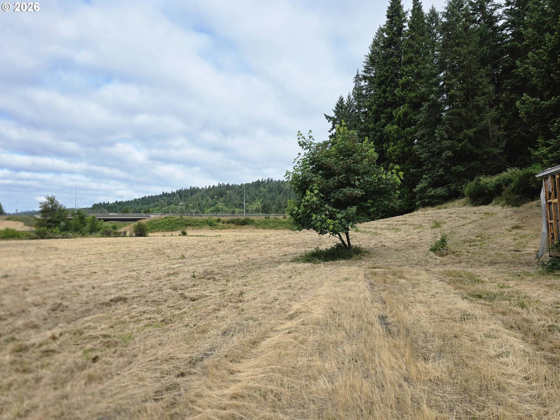 920 BUCK CREEK RD, Drain, OR 97435