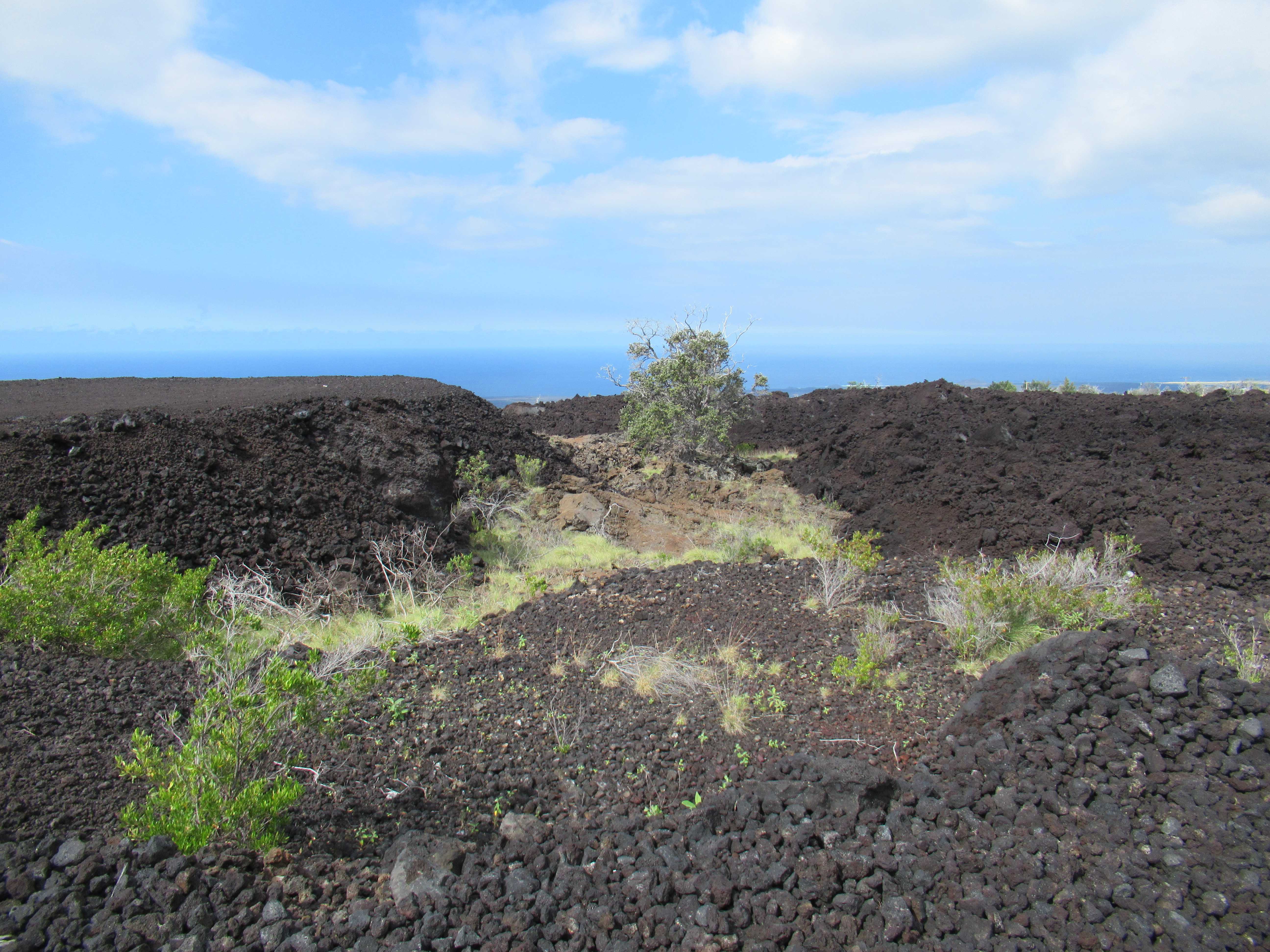 LAUHALA DR, Ocean View, HI 96737