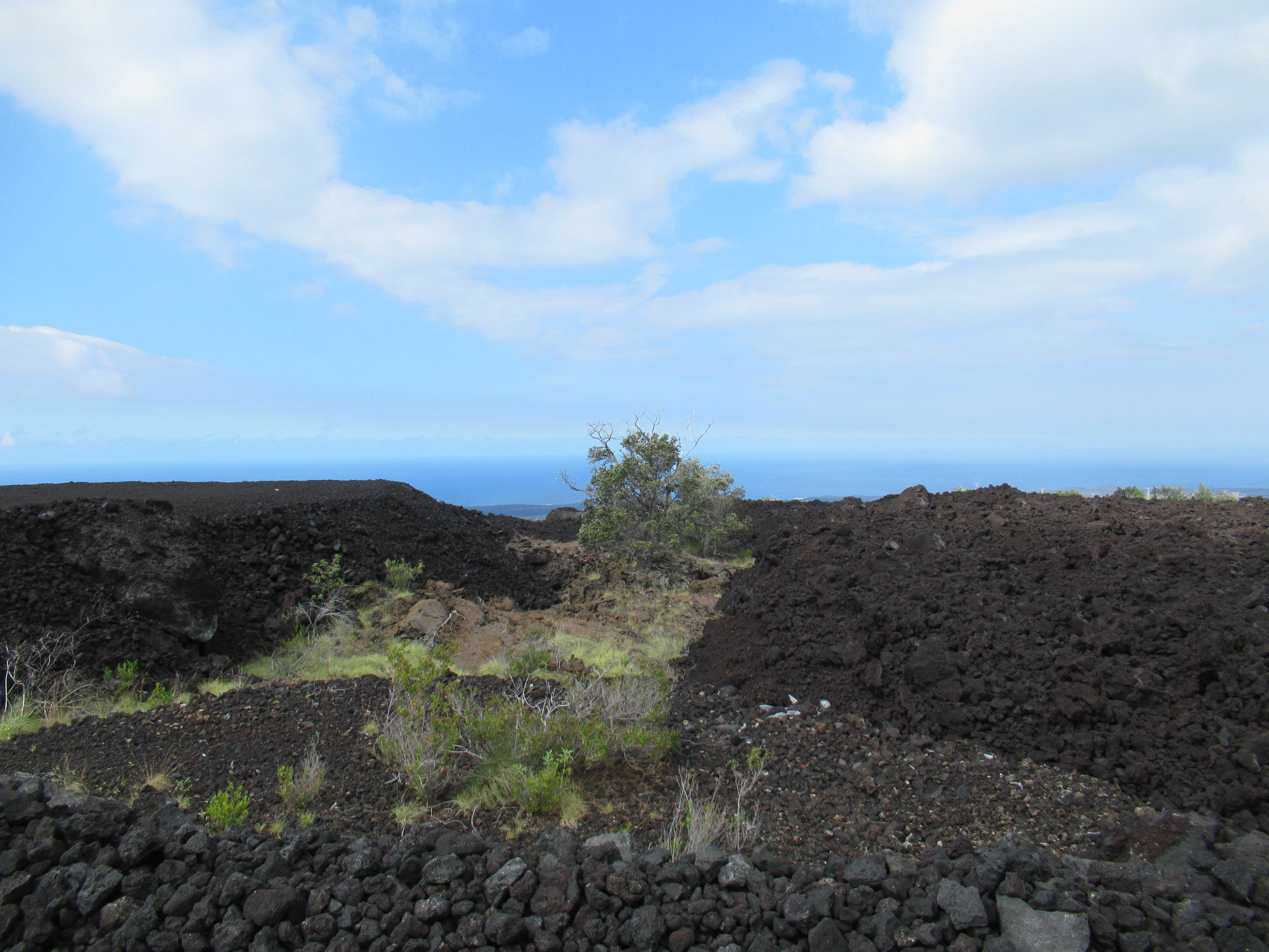 LAUHALA DR, Ocean View, HI 96737