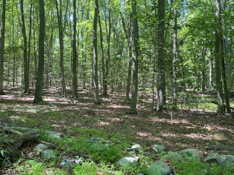 10 Newman Rd, Hardwick Twp., NJ 07825