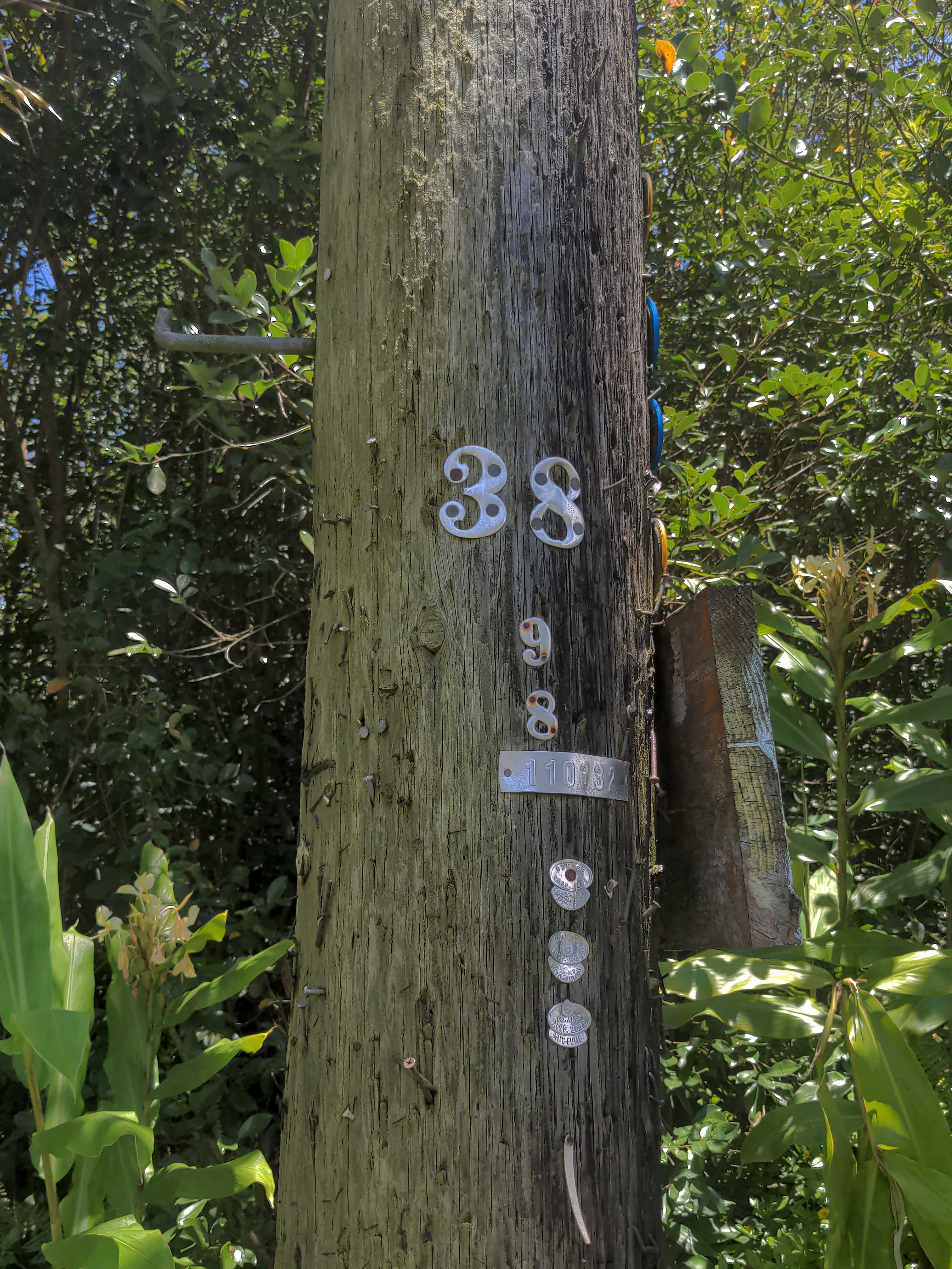 KAKU ST, Pahoa, HI 96778
