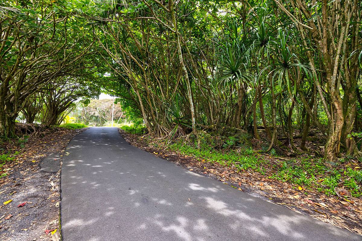 GOVERNMENT BEACH RD, Pahoa, HI 96778