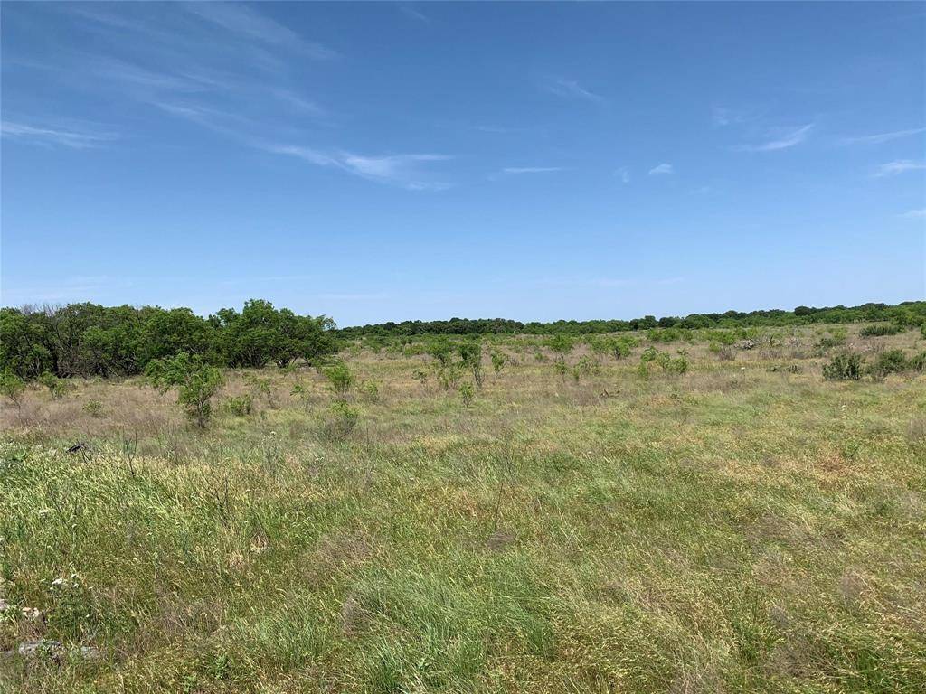 46.86 ACRES Stewart Ranch Road, Loving, TX 76460