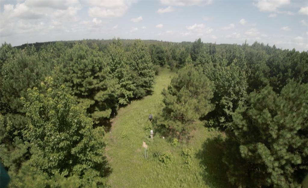 TBD CR 1640, Jefferson, TX 75657