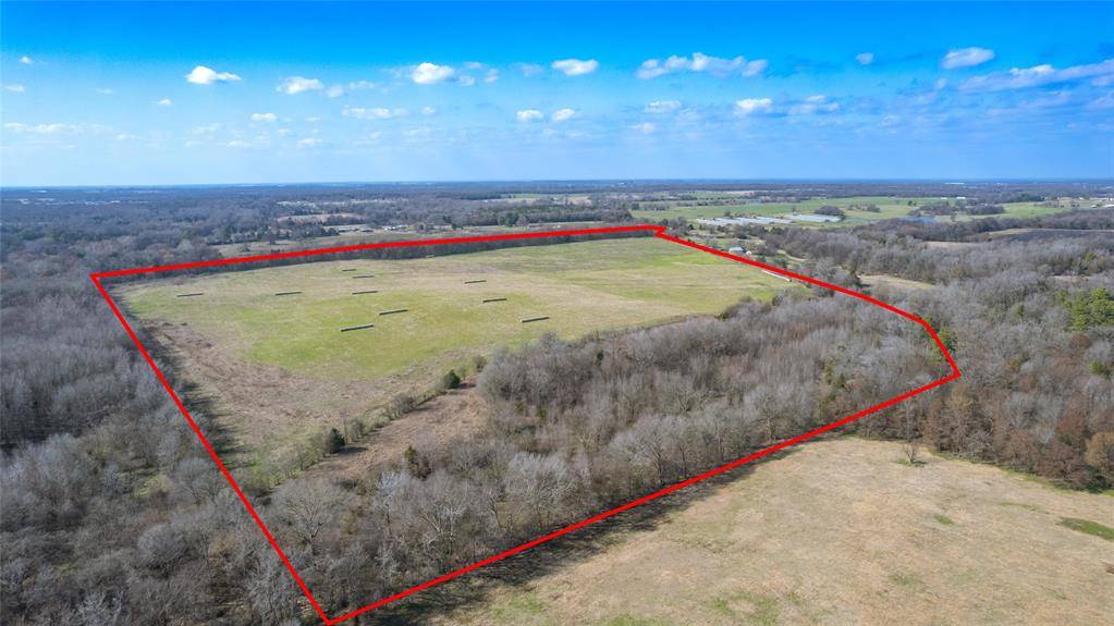 80ac Lot2 County Road 2376 #2, Winnsboro, TX 75494
