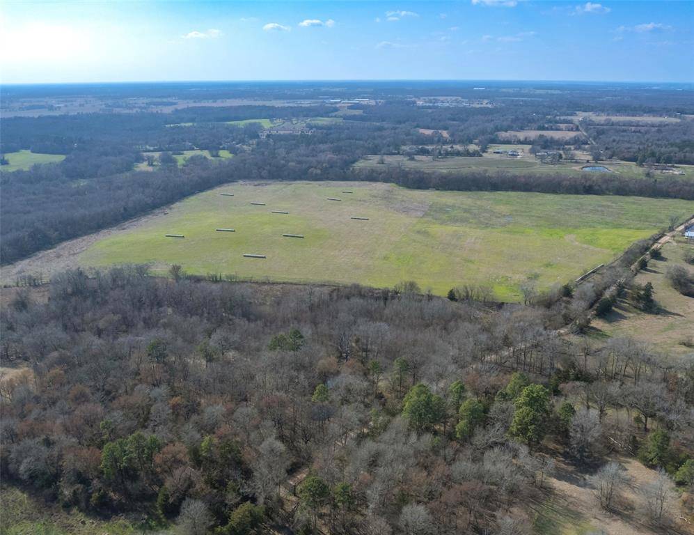 80ac Lot2 County Road 2376 #2, Winnsboro, TX 75494