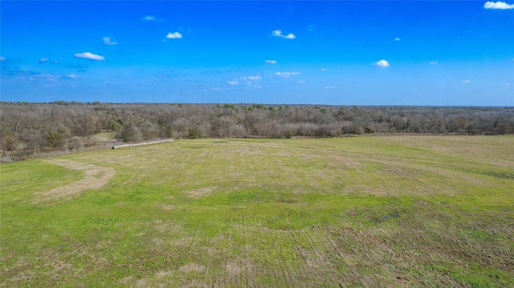 80ac Lot2 County Road 2376 #2, Winnsboro, TX 75494