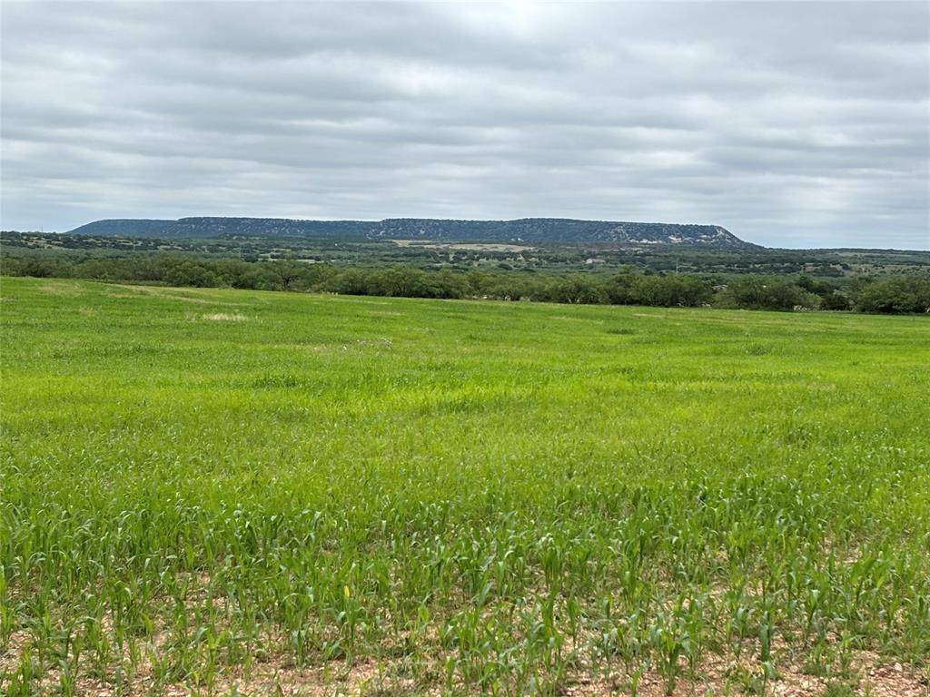 202 County Road 312, Winters, TX 79567
