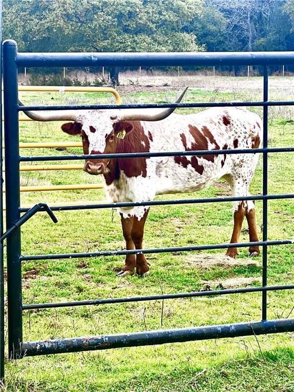 TBD Sam Bass Road, Mcgregor, TX 76657