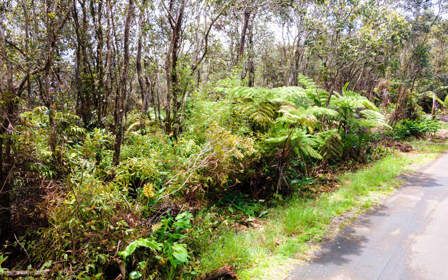 11-3850 LIONA ST, Volcano, HI 96785