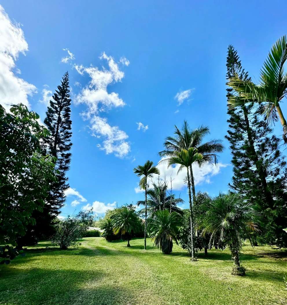 15-1912 28TH AVE, Keaau, HI 96749