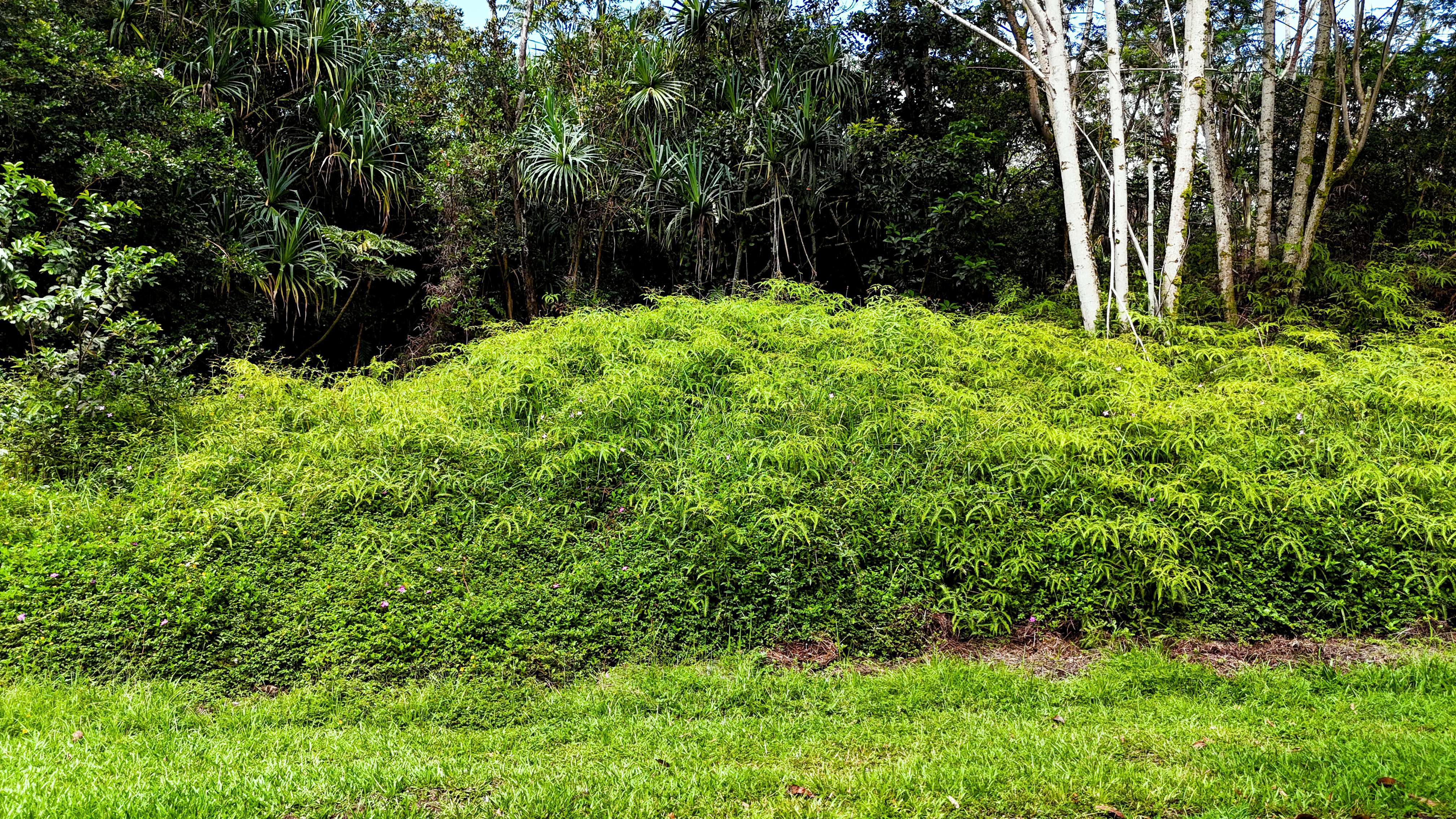 S OHIKI ST, Pahoa, HI 96778