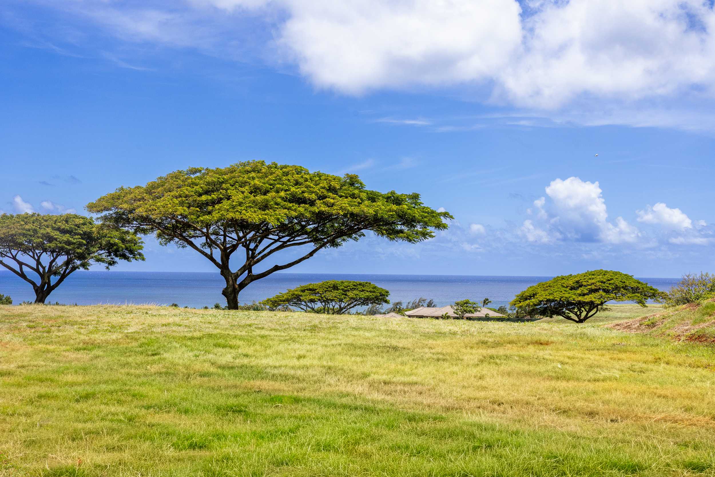 HIKI MOE PL, Koloa, HI 96756