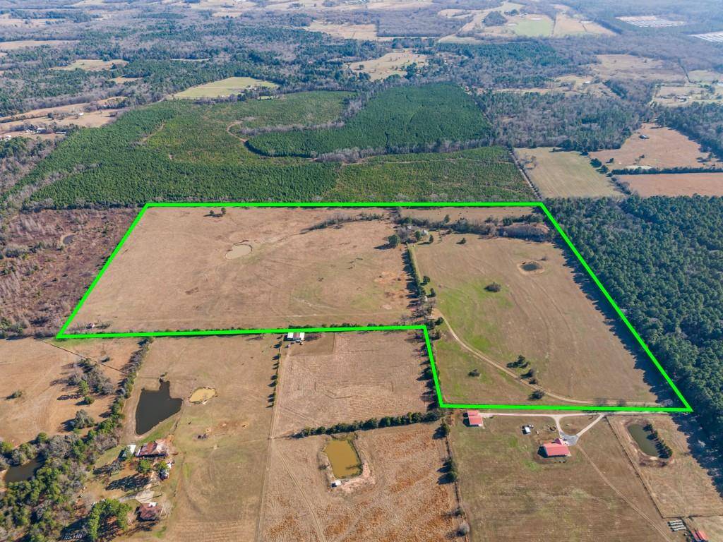 255 CR 4645, Winnsboro, TX 75494