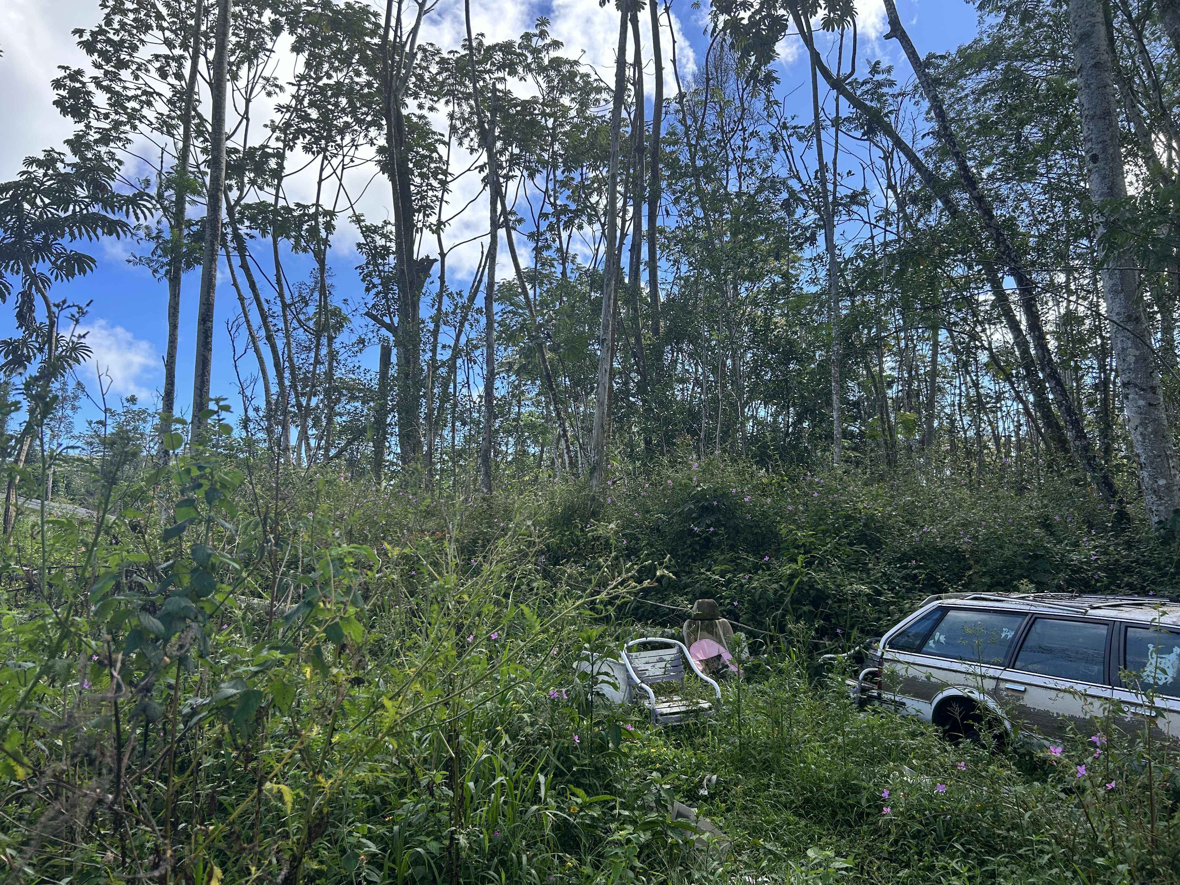 PLUMERIA RD, Pahoa, HI 96778