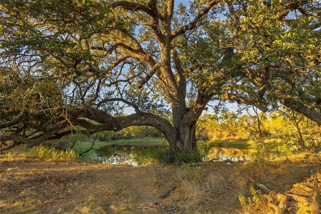 8400 County Road 201, Brownwood, TX 76801