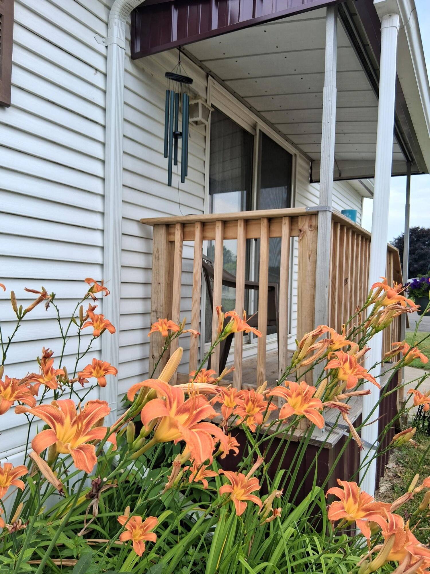 1219 Royal DR, Fremont City, MI 49412