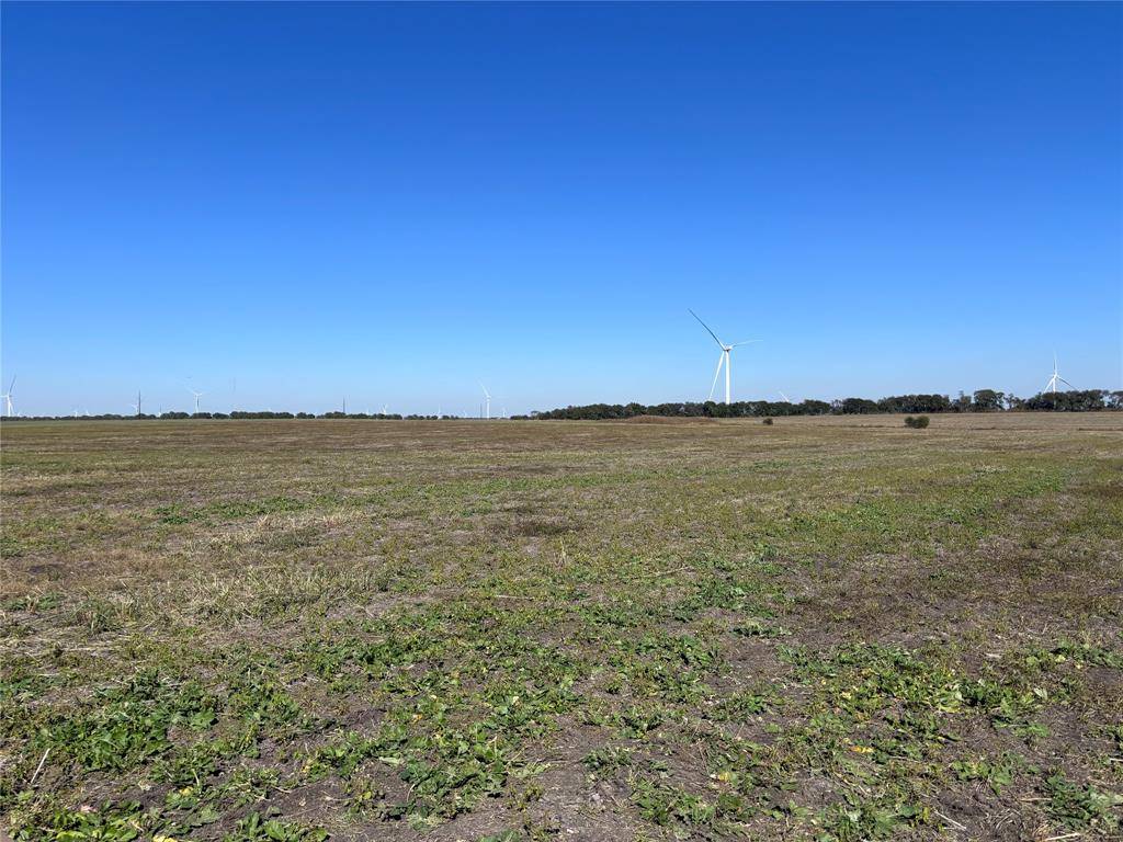 TBD E Cowan Street #11, Mart, TX 76664