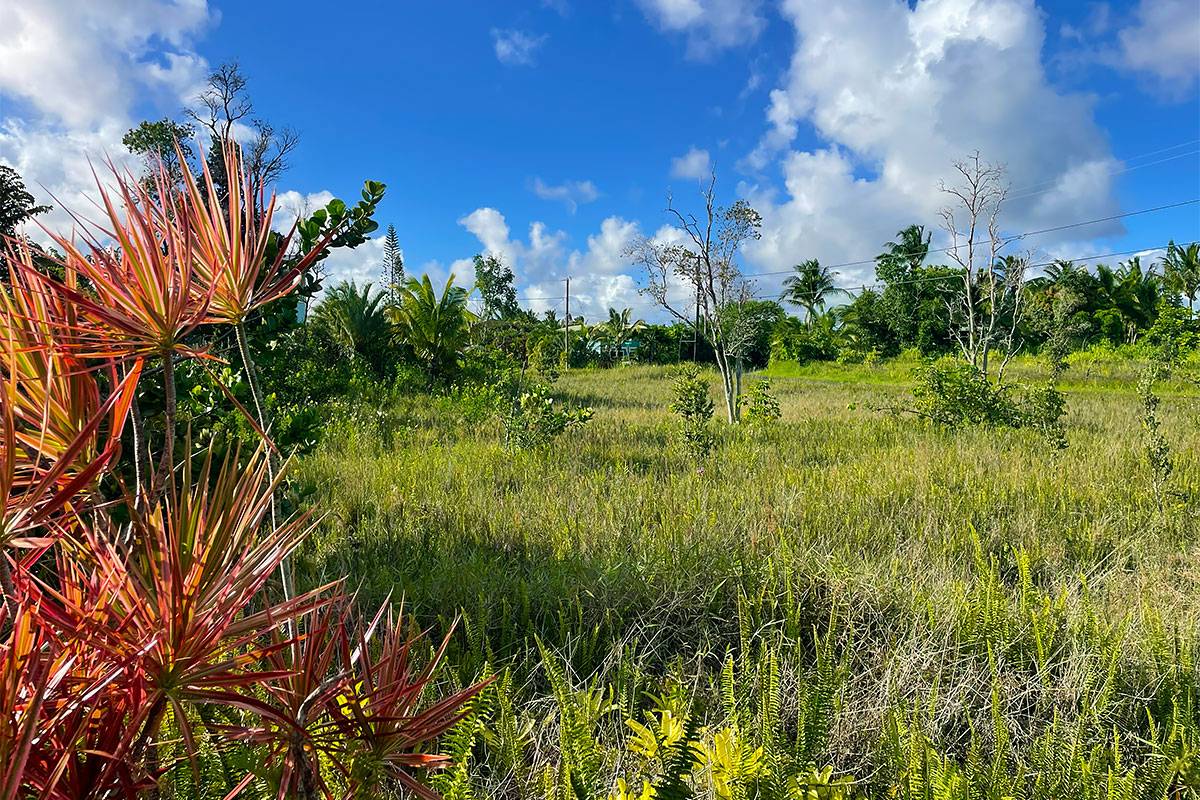 KAPOHANALU ST, Pahoa, HI 96778