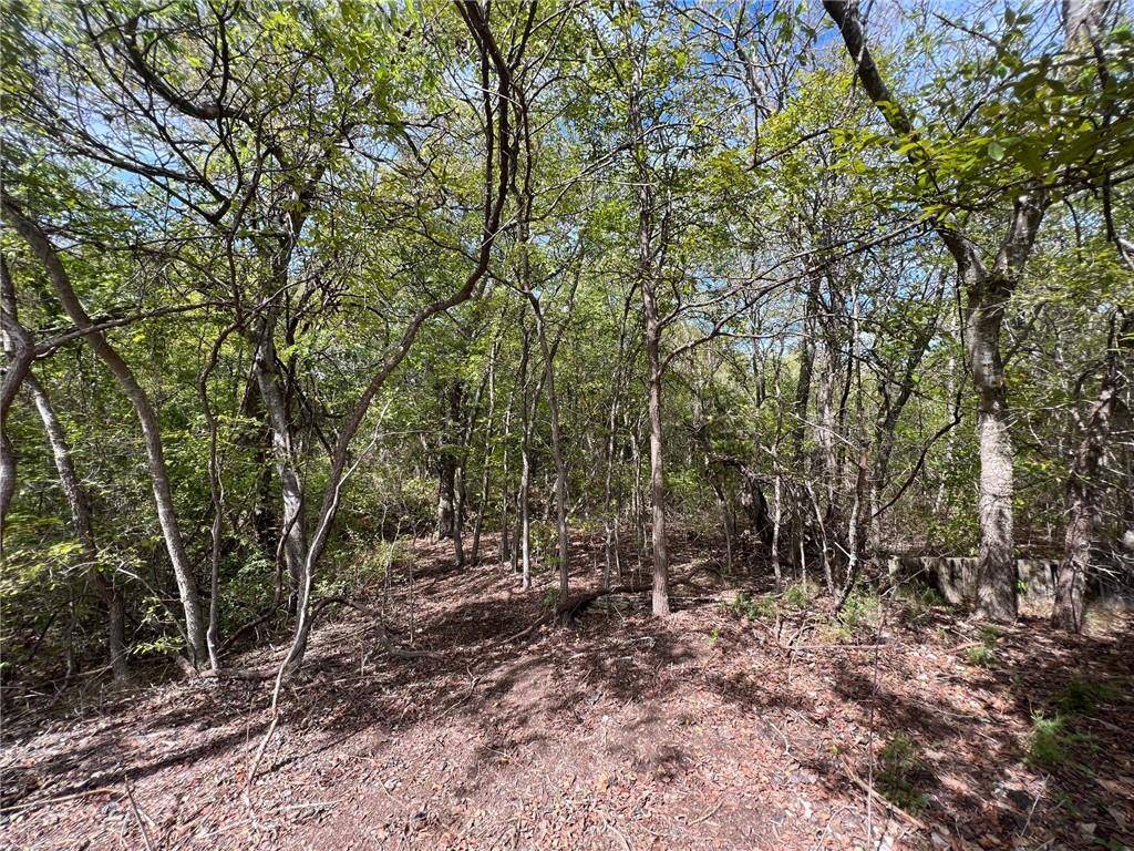 161 Suzanne Drive, Moody, TX 76657