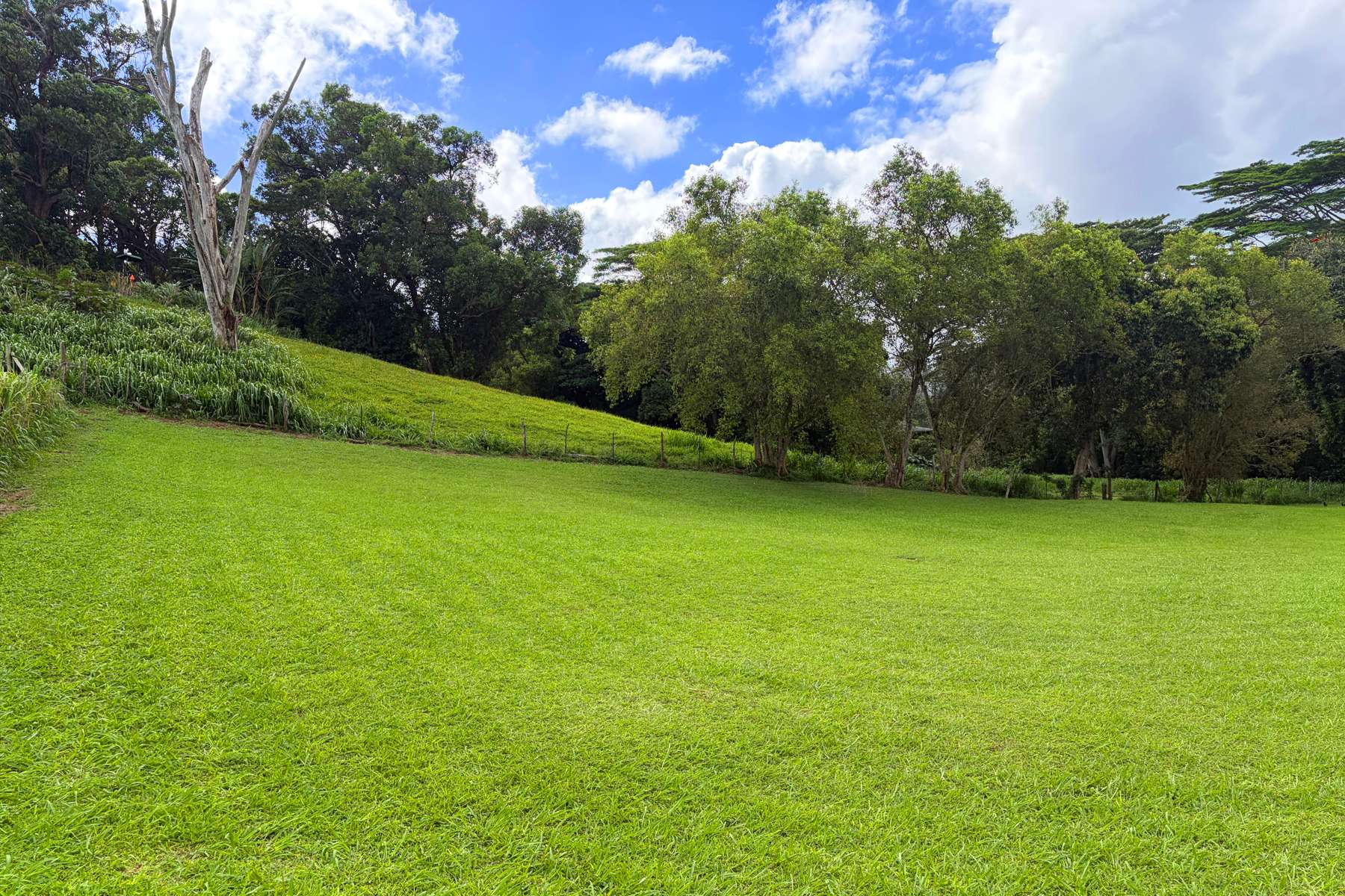 3752-EE OMAO RD, Koloa, HI 96756