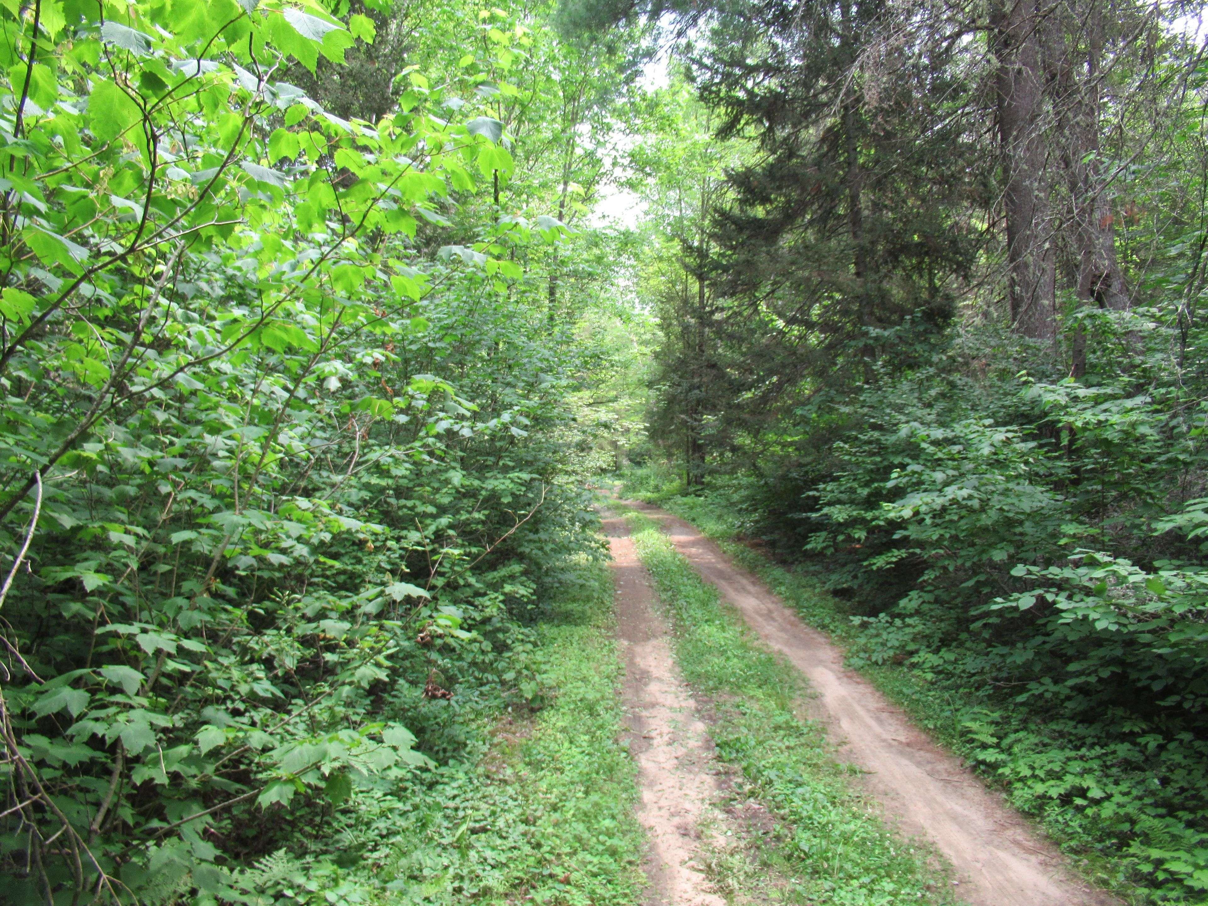 601 MACKEY CREEK RD, Head, Clara And Maria, ON K0J 2B0