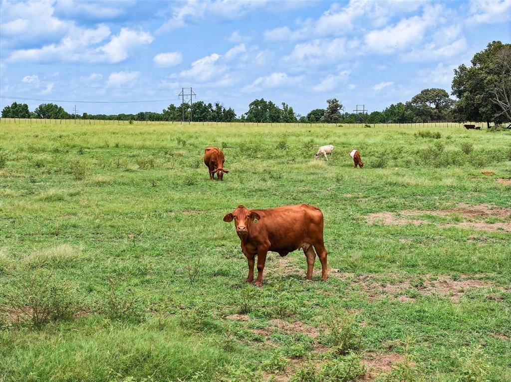 Tract 3 FM 855, Jacksonville, TX 75766