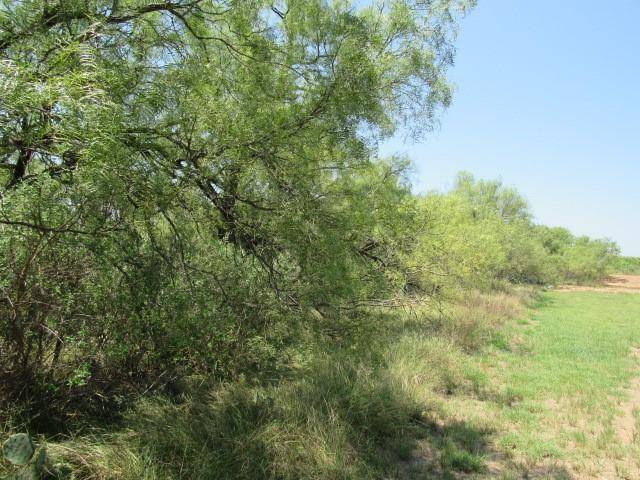 TBD County Road 211, Brookesmith, TX 76827
