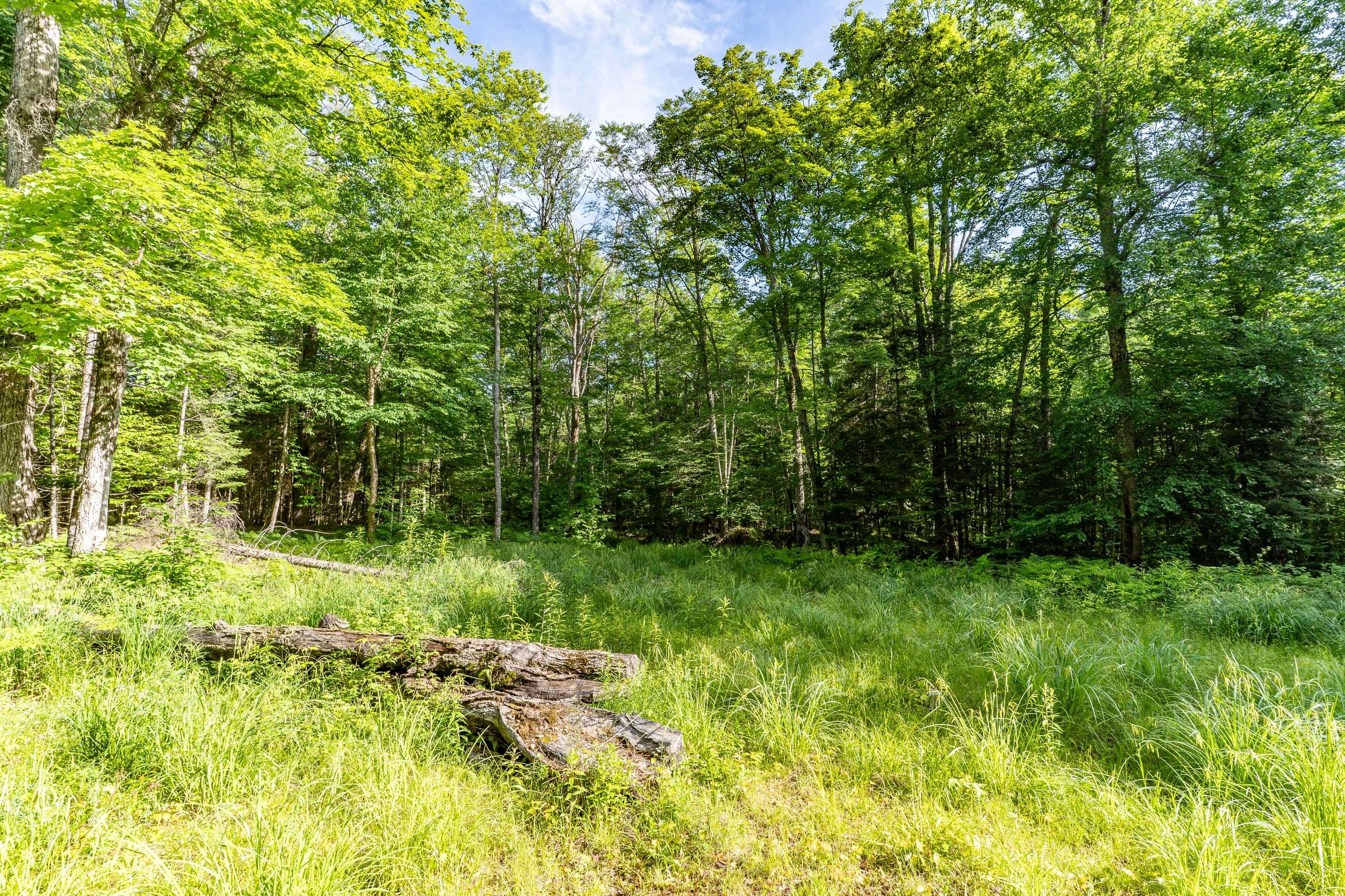 614 Britannia RD, Huntsville, ON P1H 2J3