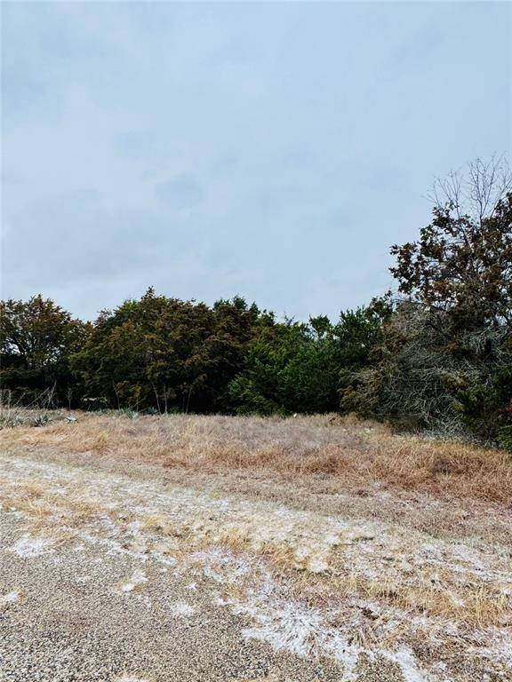 11101 Juniper Drive, Whitney, TX 76692