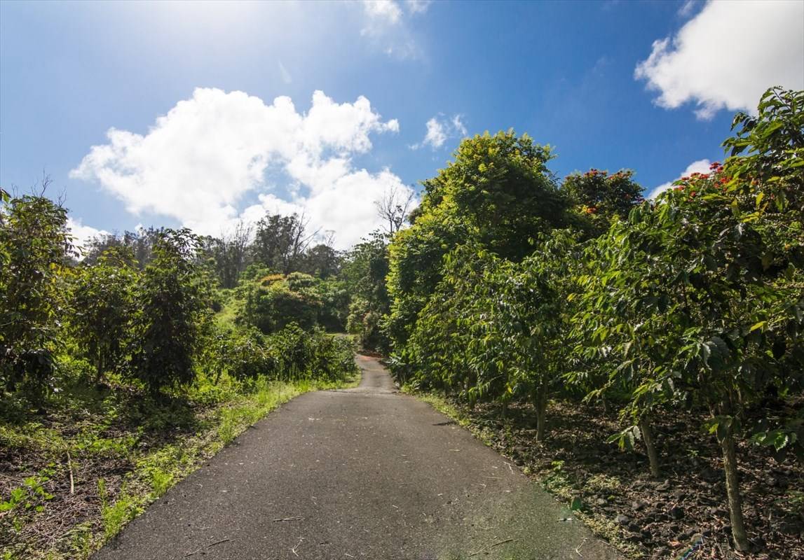 78-1134 Bishop Road, Holualoa, HI 96725